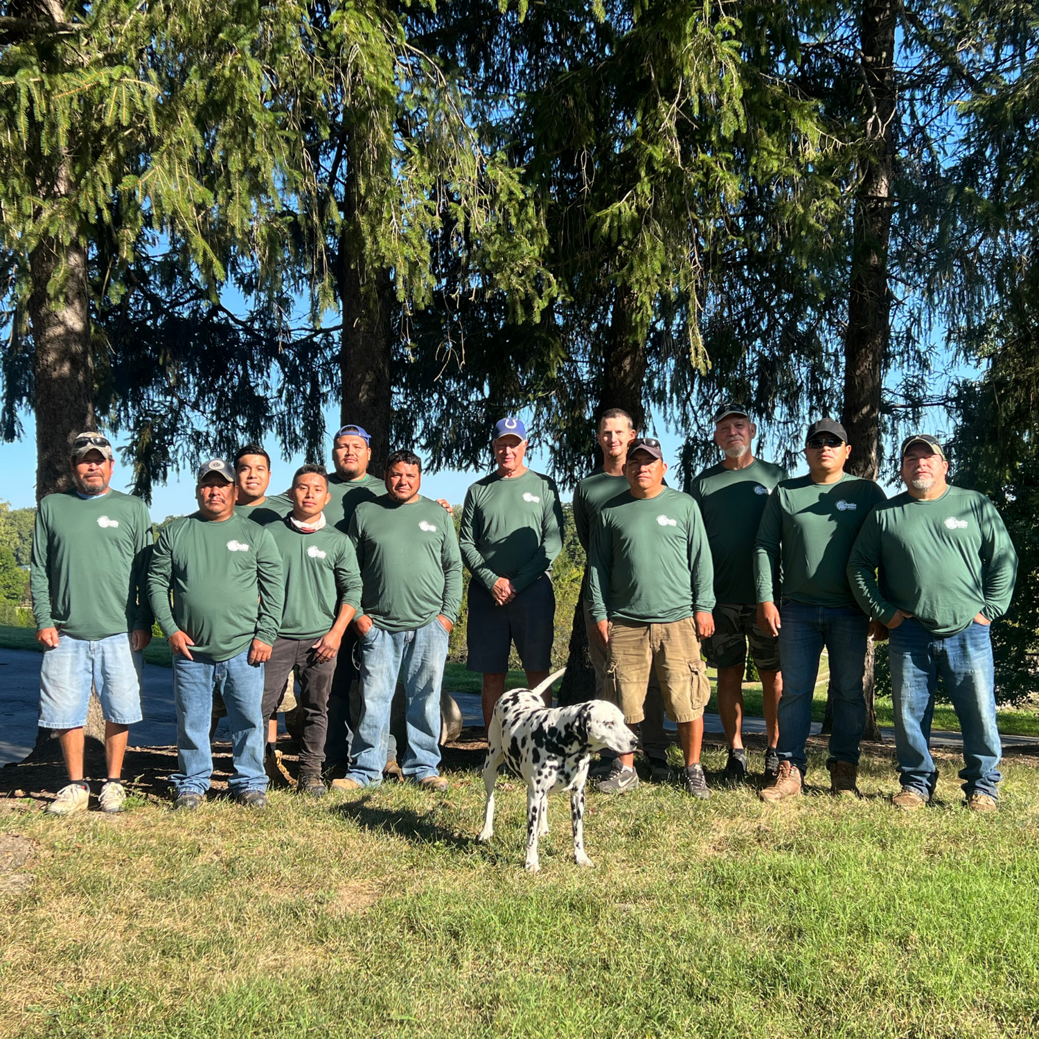 Image with text section