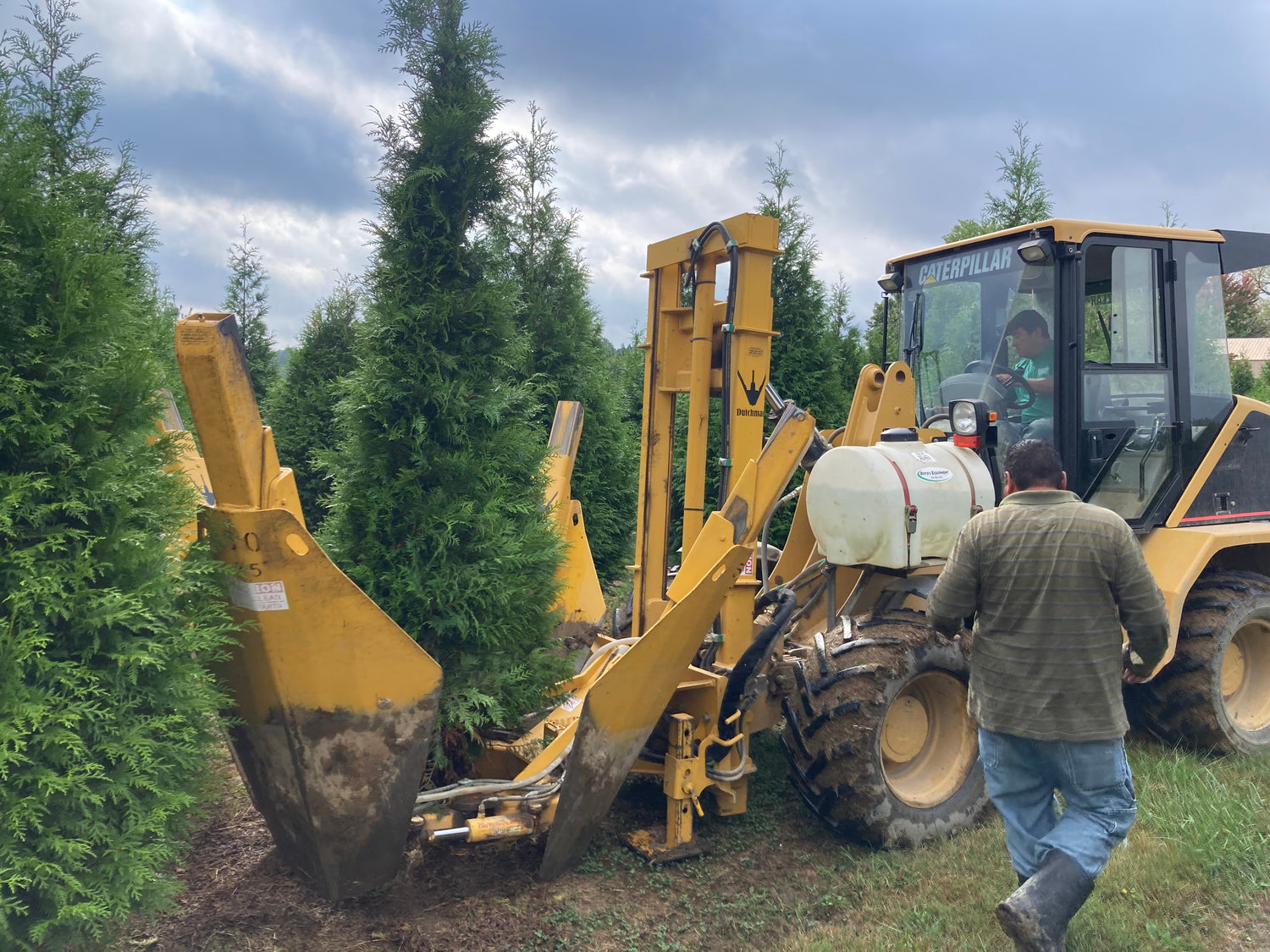 Image with text section