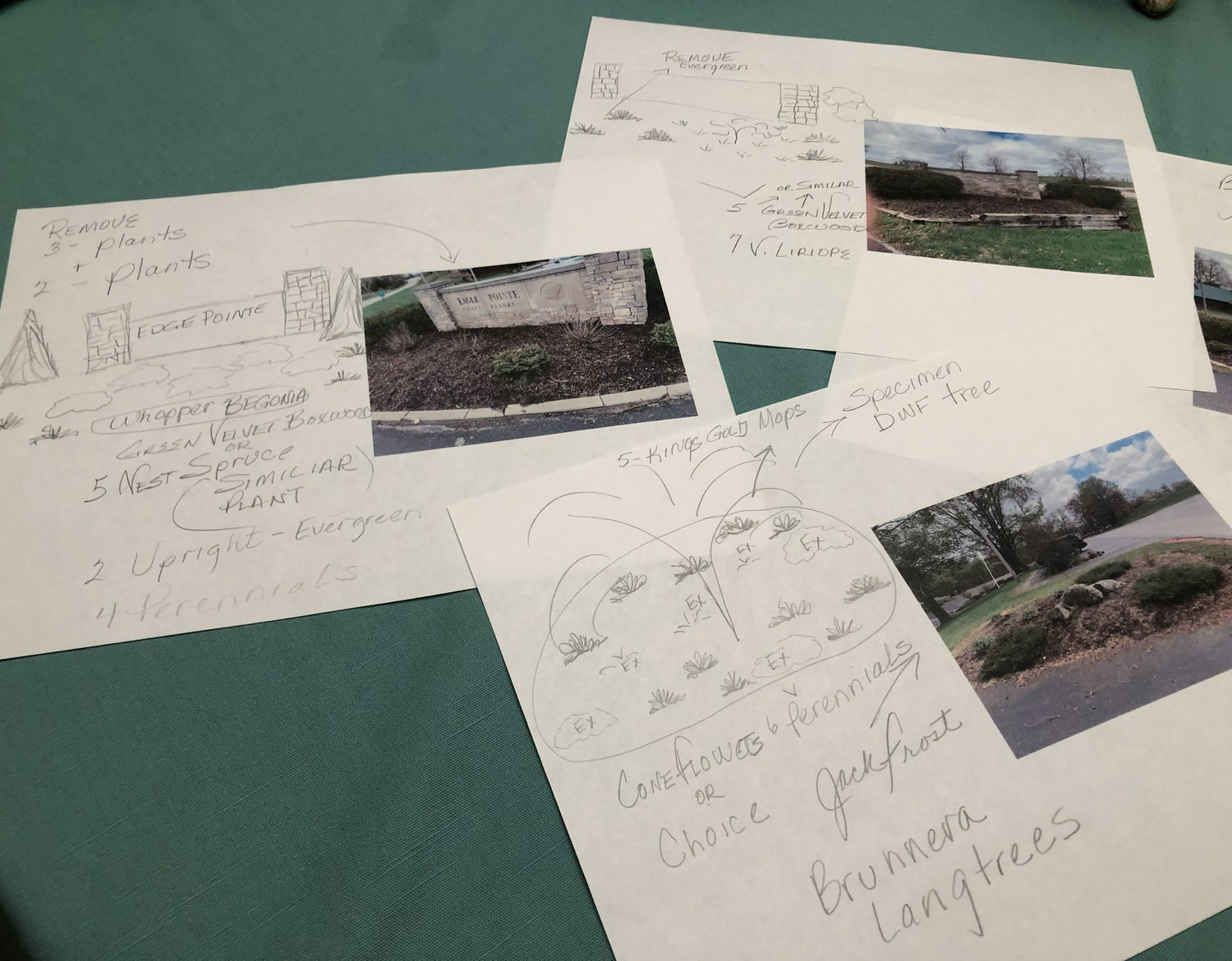 Image with text section