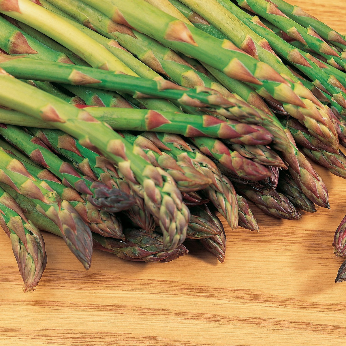 Asparagus officinalis 'Mary Washington' ~ Mary Washington Asparagus