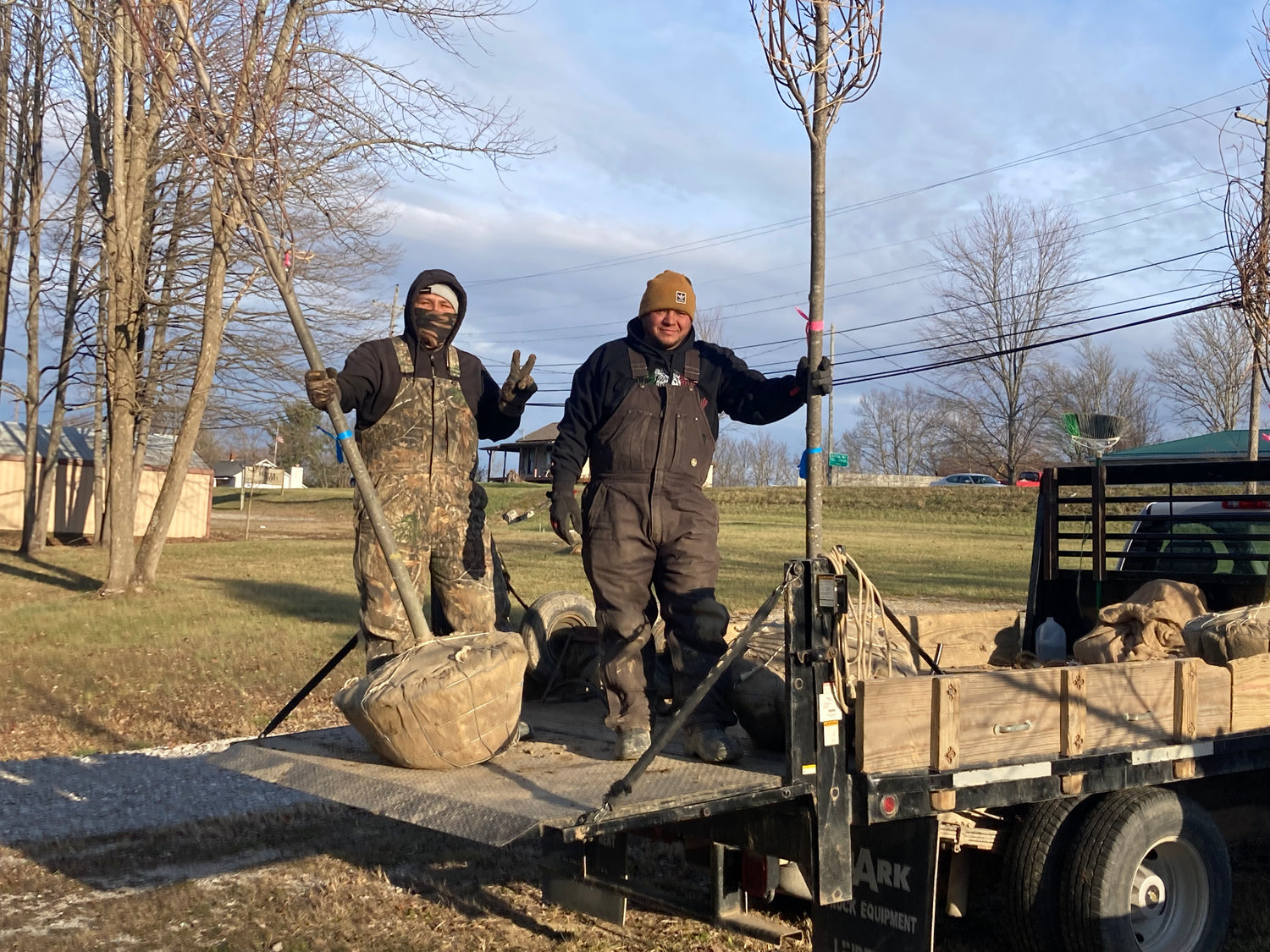 Image with text section