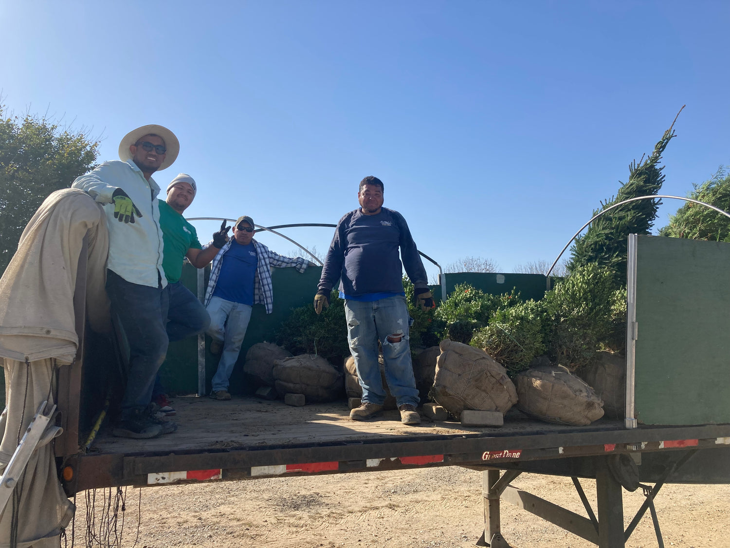 Image with text section