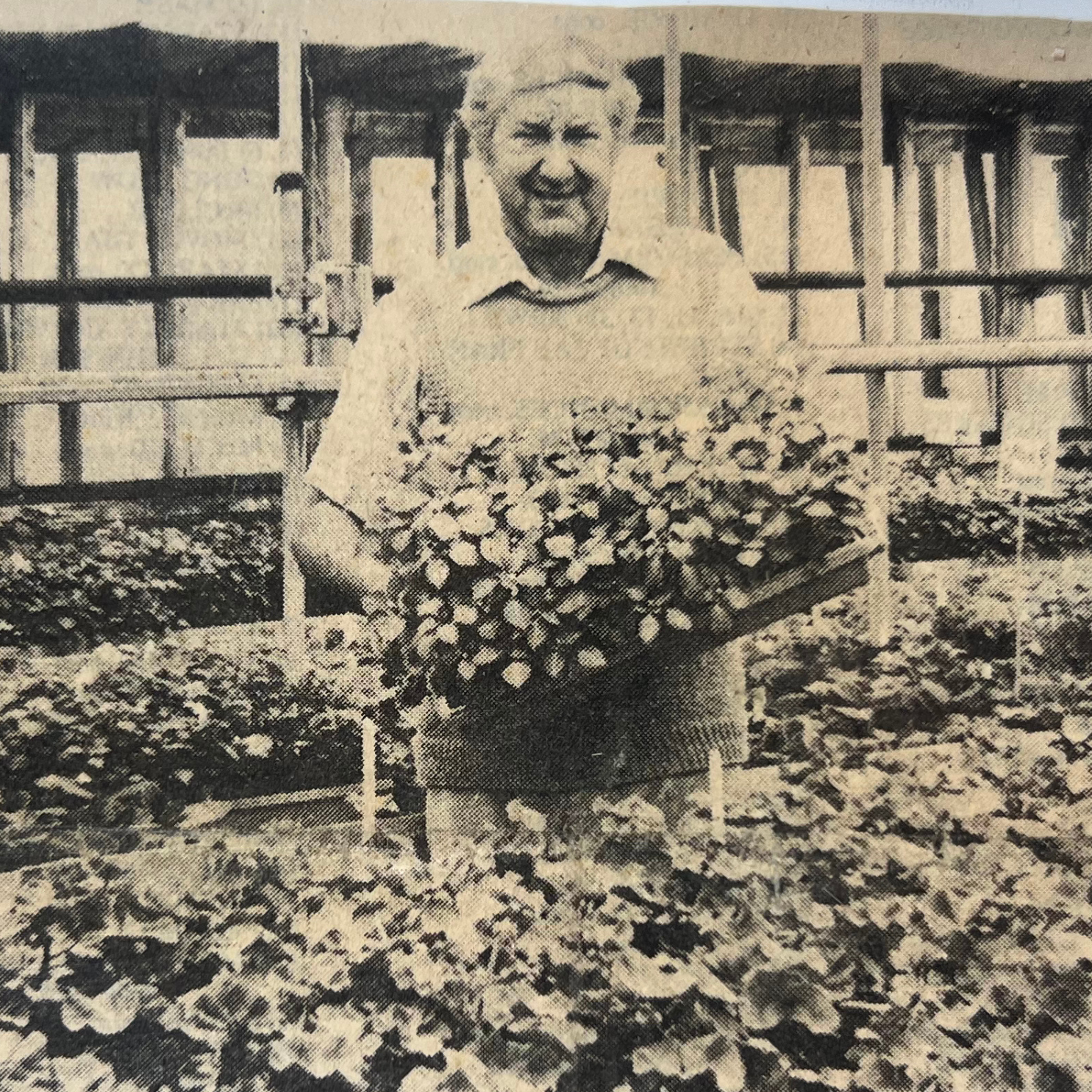 Image with text section