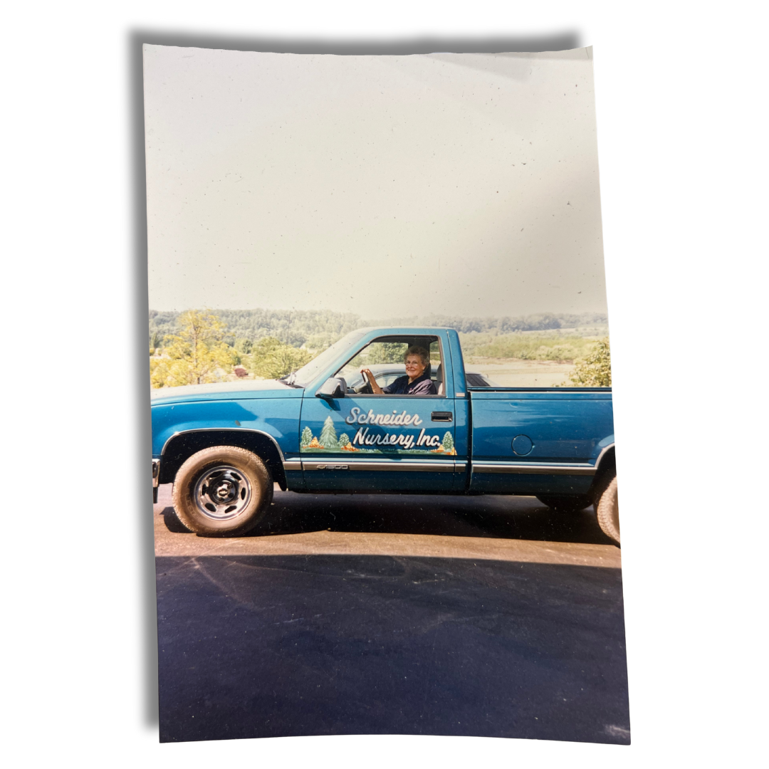 Image with text section