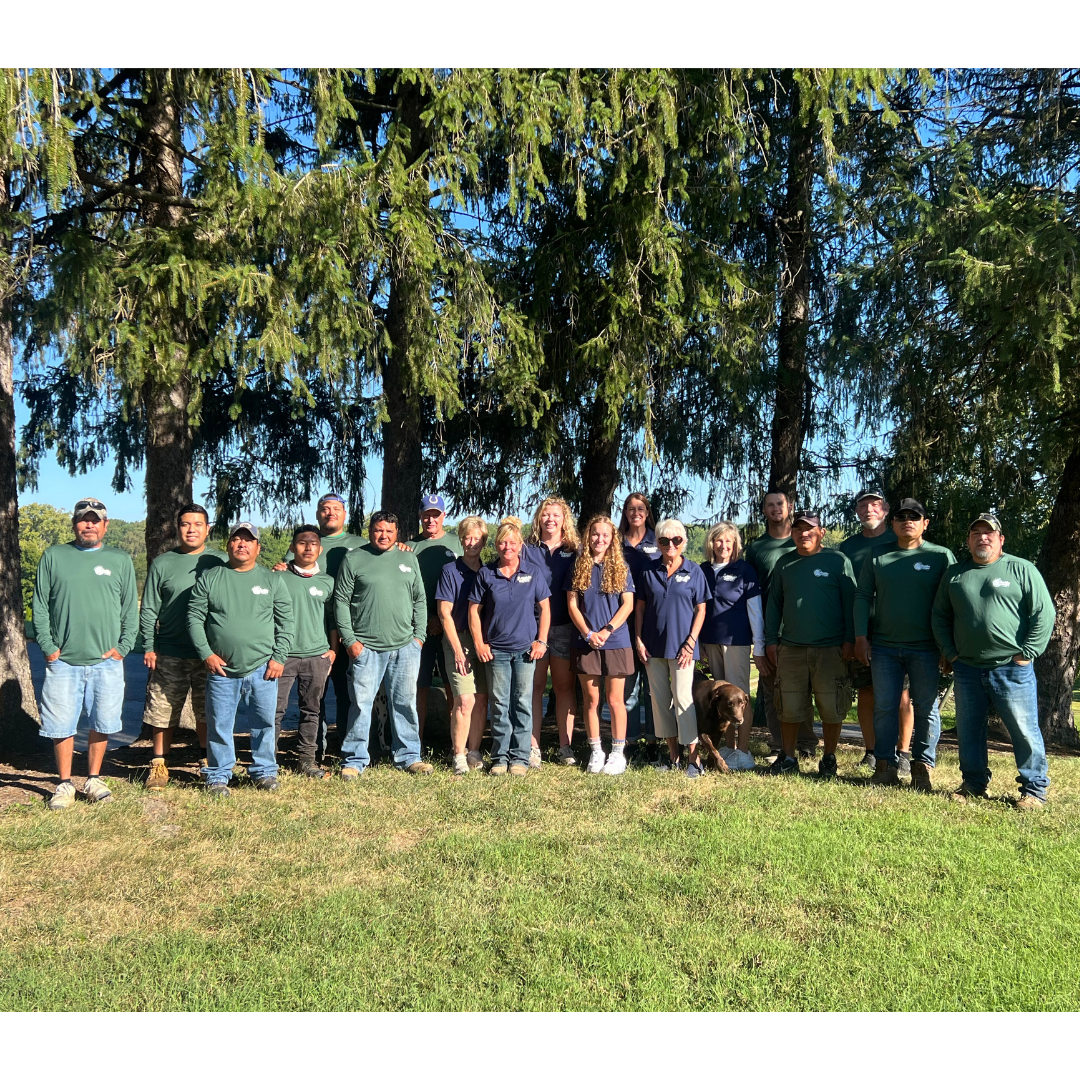 Image with text section