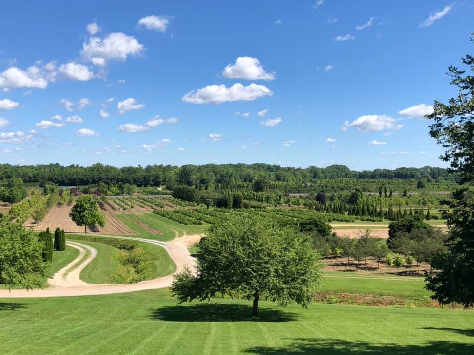 Image with text section