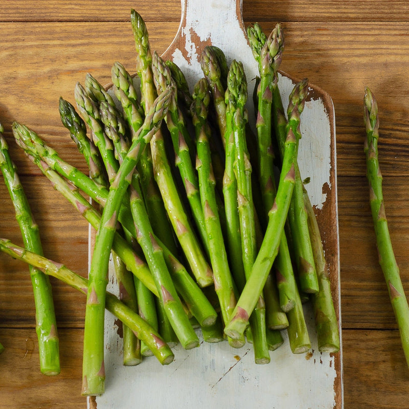 Asparagus officinalis 'Mary Washington' ~ Mary Washington Asparagus