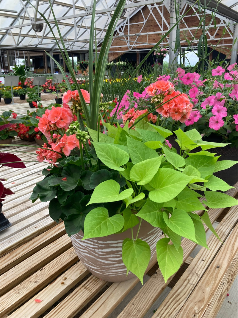 Girls' Night Out Porch Planters - Ticket