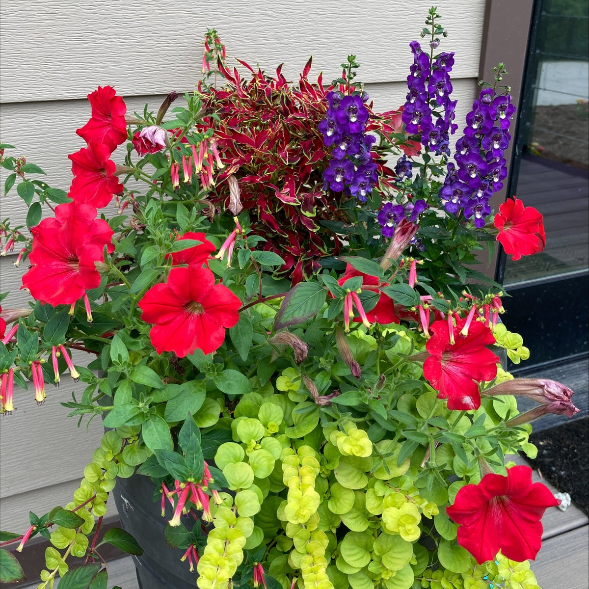 Girls' Night Out Porch Planters - Ticket
