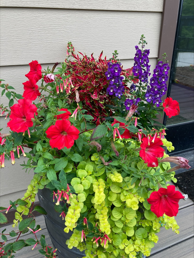 Girls' Night Out Porch Planters - Ticket
