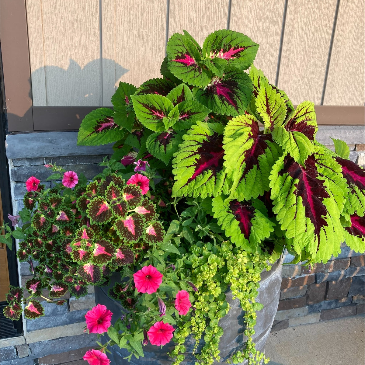 Girls' Night Out Porch Planters - Ticket